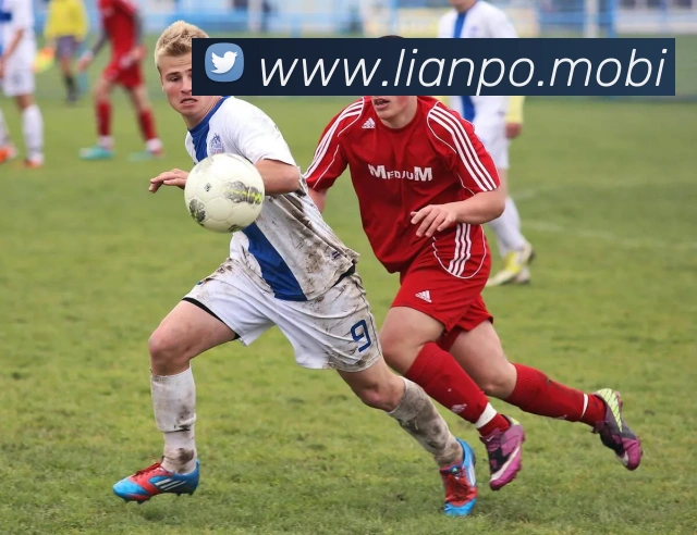 开云手机在线登录官网服务体系